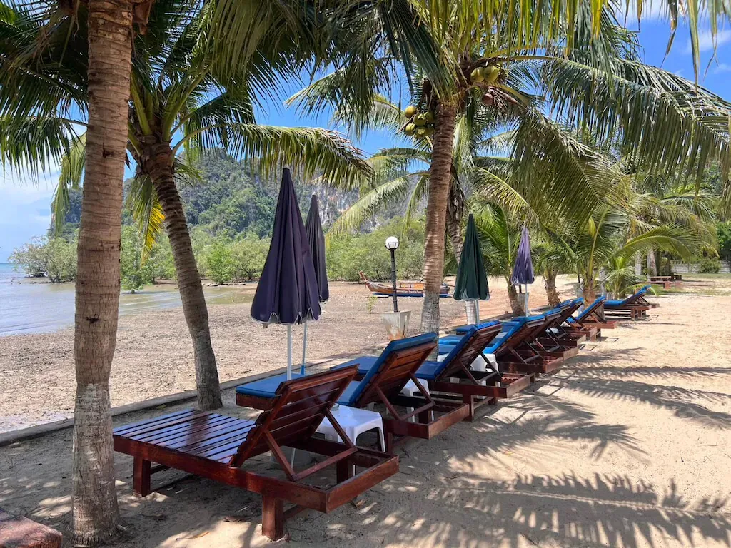 Sun loungers under the palms on Nammao Beach