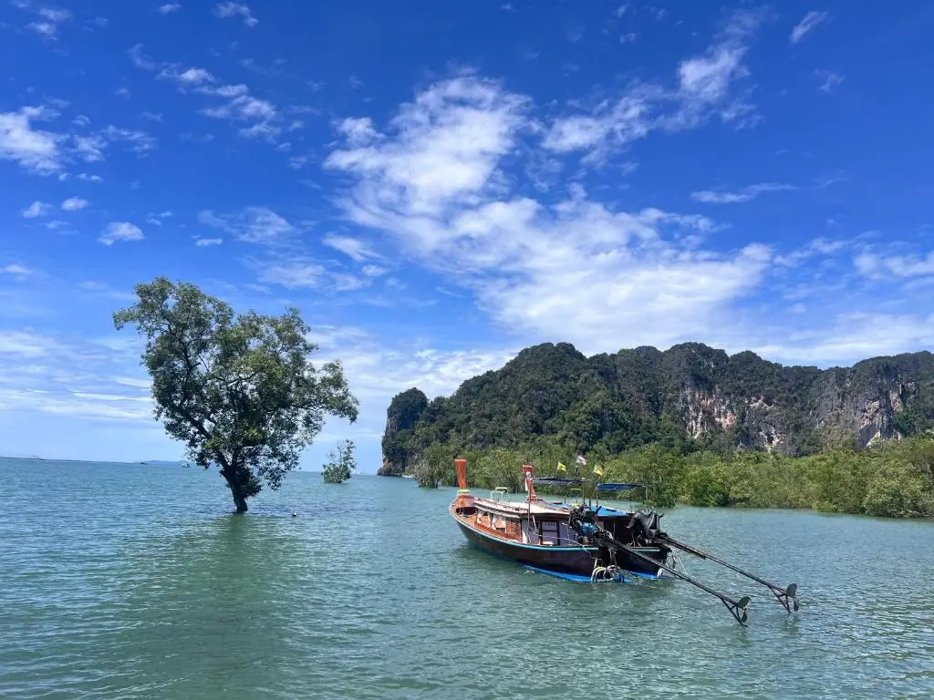 A longtail boat beside a lone tree and limestone cliffs