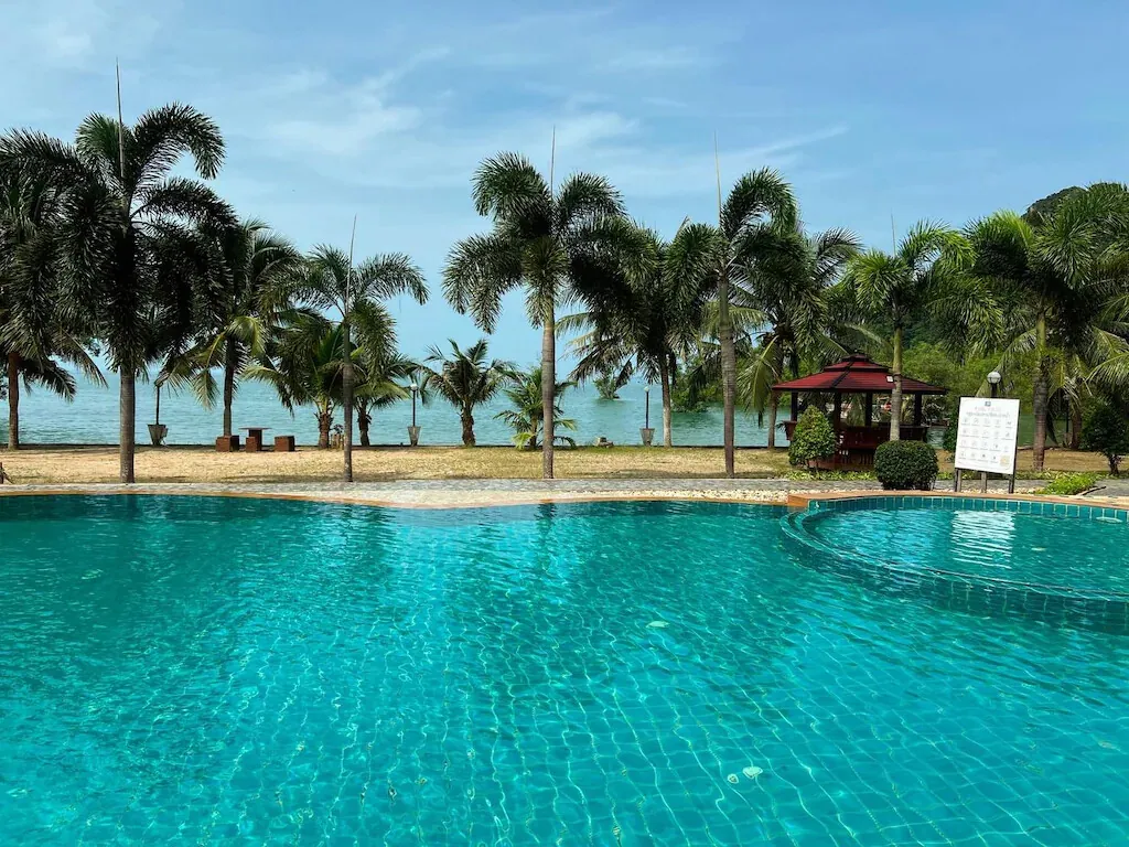 The resort pool framed by palms